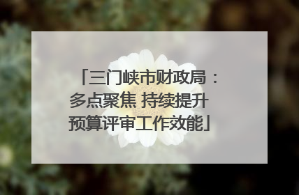 三门峡市财政局：多点聚焦 持续提升预算评审工作效能