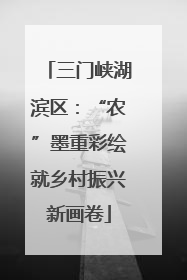 三门峡湖滨区：“农”墨重彩绘就乡村振兴新画卷
