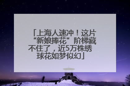 上海人速冲！这片“新娘捧花”阶梯藏不住了，近5万株绣球花如梦似幻