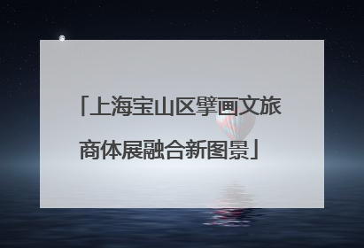 上海宝山区擘画文旅商体展融合新图景