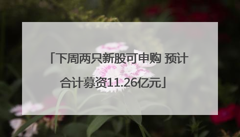 下周两只新股可申购 预计合计募资11.26亿元
