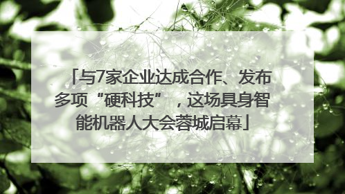 与7家企业达成合作、发布多项“硬科技”，这场具身智能机器人大会蓉城启幕