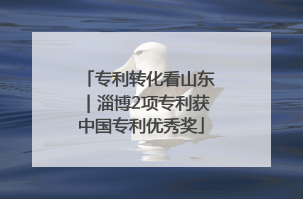 专利转化看山东｜淄博2项专利获中国专利优秀奖