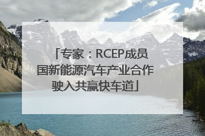专家：RCEP成员国新能源汽车产业合作驶入共赢快车道