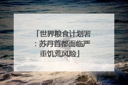 世界粮食计划署：苏丹首都面临严重饥荒风险