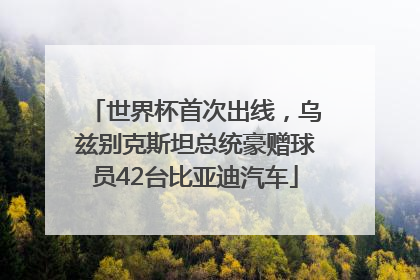 世界杯首次出线，乌兹别克斯坦总统豪赠球员42台比亚迪汽车