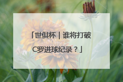 世俱杯｜谁将打破C罗进球纪录？