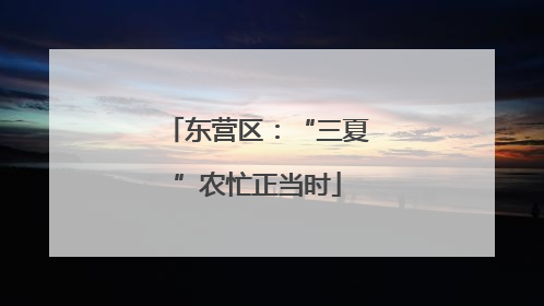 东营区：“三夏”农忙正当时