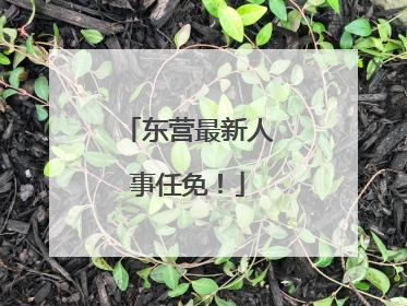 东营最新人事任免！