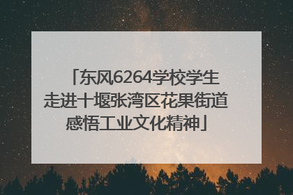 东风6264学校学生走进十堰张湾区花果街道感悟工业文化精神