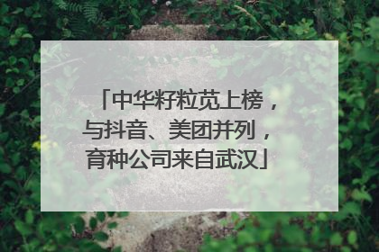 中华籽粒苋上榜，与抖音、美团并列，育种公司来自武汉