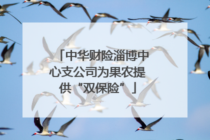 中华财险淄博中心支公司为果农提供“双保险”