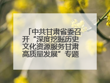 中共甘肃省委召开“深度挖掘历史文化资源服务甘肃高质量发展”专题协商座谈会 胡昌升主持并讲话