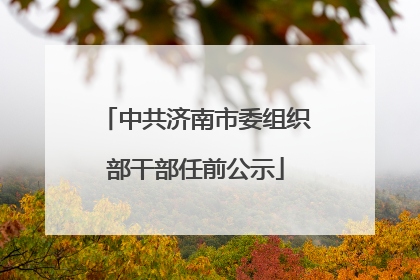 中共济南市委组织部干部任前公示