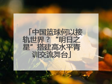 中国篮球何以接轨世界？“明日之星”搭建高水平青训交流舞台