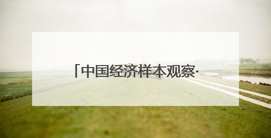 中国经济样本观察·一“业”成名｜真有两把刷子！“刷”出30亿级“颜值经济”