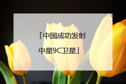 中国成功发射中星9C卫星