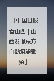 中国日报看山西｜山西发现东方白鹳筑巢繁殖