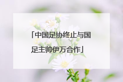 中国足协终止与国足主帅伊万合作