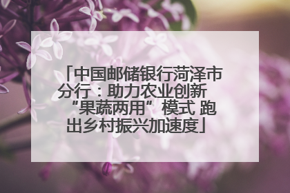 中国邮储银行菏泽市分行：助力农业创新 “果蔬两用”模式 跑出乡村振兴加速度