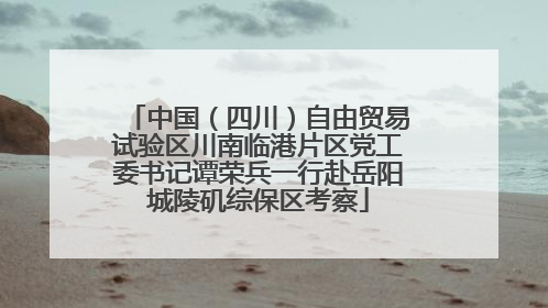 中国（四川）自由贸易试验区川南临港片区党工委书记谭荣兵一行赴岳阳城陵矶综保区考察
