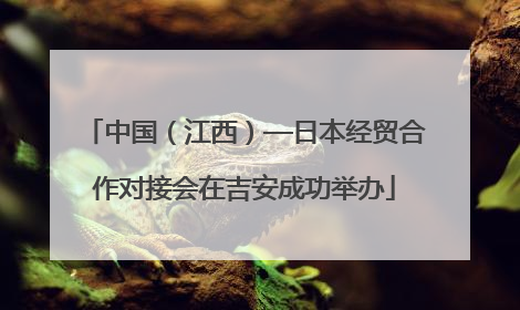 中国（江西）—日本经贸合作对接会在吉安成功举办