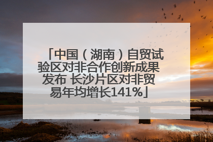 中国（湖南）自贸试验区对非合作创新成果发布 长沙片区对非贸易年均增长141%