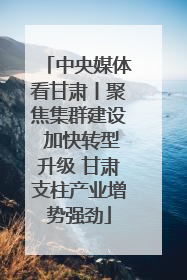 中央媒体看甘肃丨聚焦集群建设 加快转型升级 甘肃支柱产业增势强劲