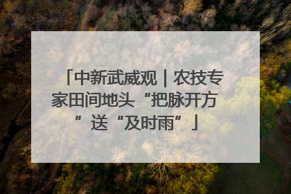 中新武威观｜农技专家田间地头“把脉开方”送“及时雨”