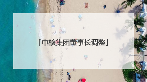 中核集团董事长调整