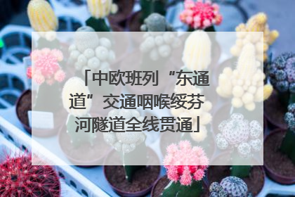 中欧班列“东通道”交通咽喉绥芬河隧道全线贯通