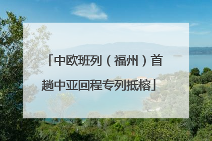 中欧班列（福州）首趟中亚回程专列抵榕