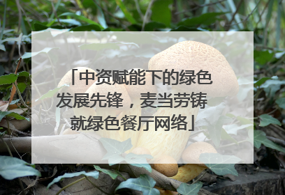中资赋能下的绿色发展先锋，麦当劳铸就绿色餐厅网络
