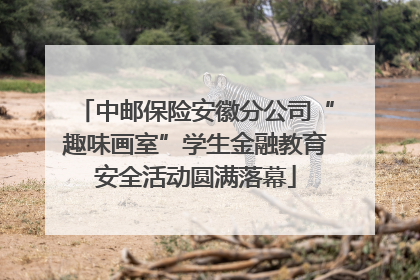 中邮保险安徽分公司“趣味画室”学生金融教育安全活动圆满落幕