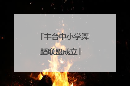 丰台中小学舞蹈联盟成立