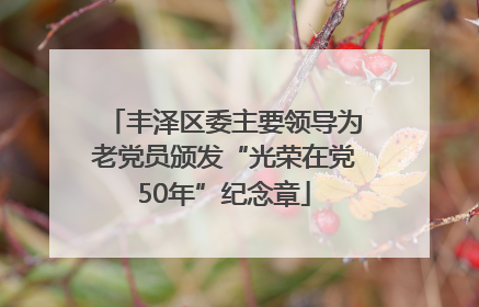 丰泽区委主要领导为老党员颁发“光荣在党50年”纪念章