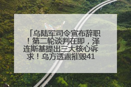 乌陆军司令宣布辞职！第二轮谈判在即，泽连斯基提出三大核心诉求！乌方透露摧毁41架俄战略轰炸机