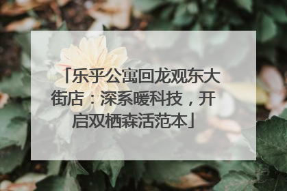 乐乎公寓回龙观东大街店：深系暖科技，开启双栖森活范本