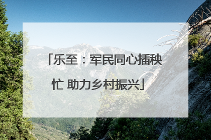 乐至：军民同心插秧忙 助力乡村振兴