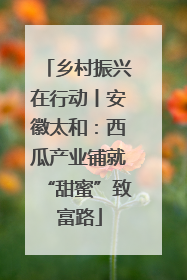 乡村振兴在行动丨安徽太和：西瓜产业铺就“甜蜜”致富路