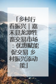 乡村行 看振兴｜嘉禾县龙潭牲畜交易市场：优惠赋能促交易 乡村振兴添动能
