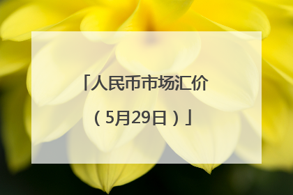 人民币市场汇价（5月29日）
