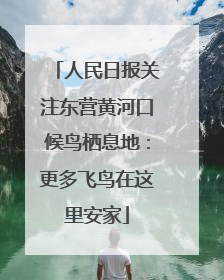 人民日报关注东营黄河口候鸟栖息地：更多飞鸟在这里安家