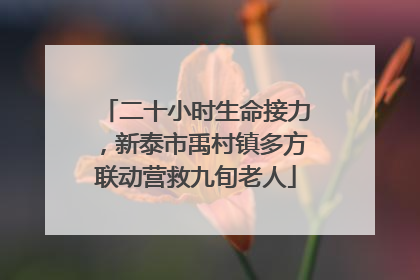 二十小时生命接力，新泰市禹村镇多方联动营救九旬老人