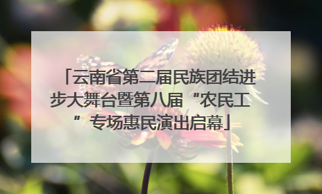 云南省第二届民族团结进步大舞台暨第八届“农民工”专场惠民演出启幕
