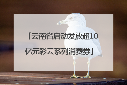 云南省启动发放超10亿元彩云系列消费券