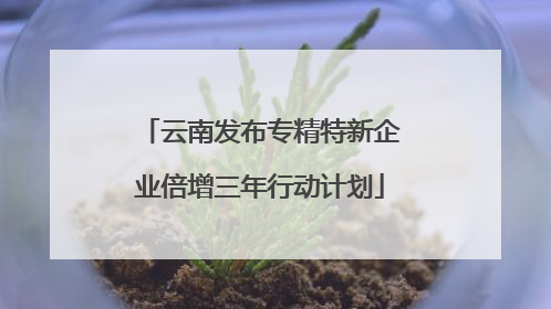 云南发布专精特新企业倍增三年行动计划