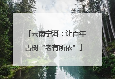 云南宁洱：让百年古树“老有所依”