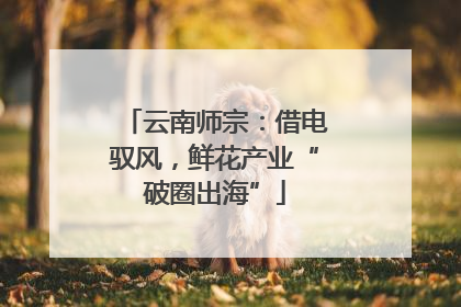 云南师宗：借电驭风，鲜花产业“破圈出海”