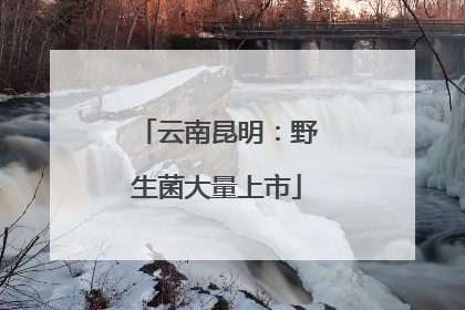 云南昆明：野生菌大量上市